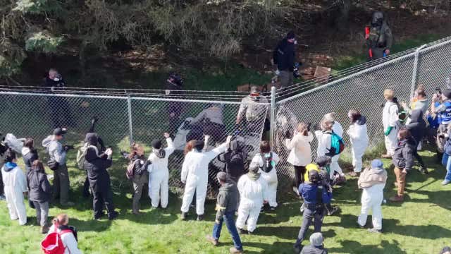 Ridglan Farms activists charged after failed attempt to "rescue" beagles