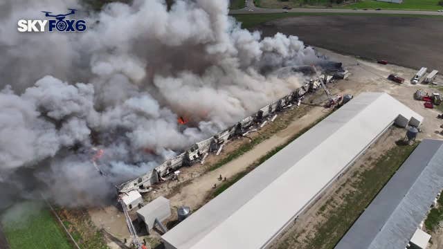Palmyra egg farm fire adds to concerns amid bird flu issues