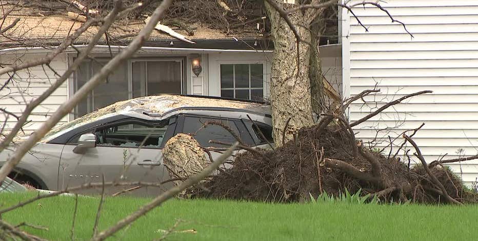 Racine County storm damage leaves cleanup underway in Waterford