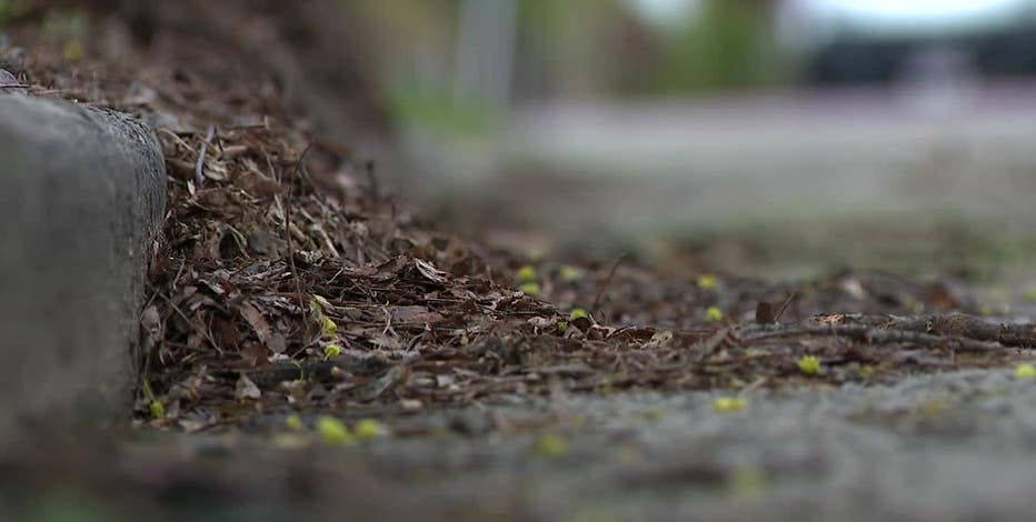 Milwaukee fall leaf collection; efforts to improve operations