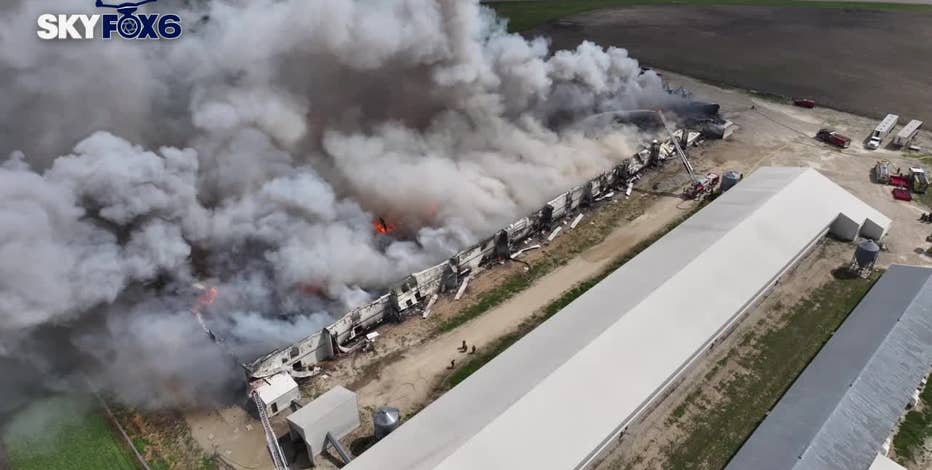 Palmyra egg farm fire adds to concerns amid bird flu issues
