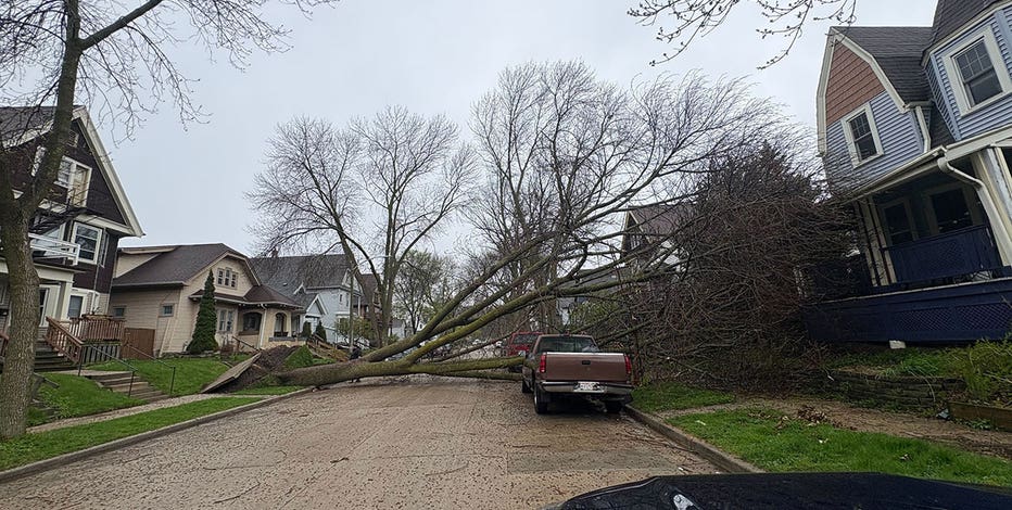 Wind gusts slam SE Wisconsin; power knocked out, trees toppled