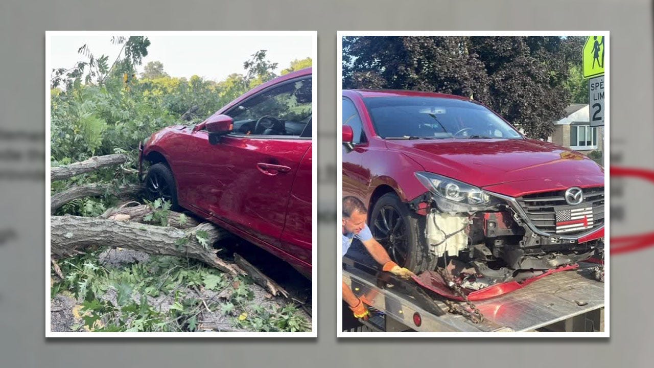 Tree falls on moving car, woman gets $1,250 cleanup bill