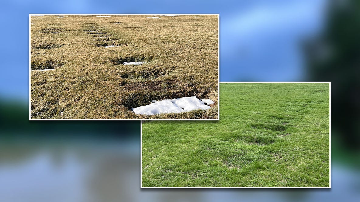 Milwaukee County cemetery graves sinking, nonprofit says; here's why