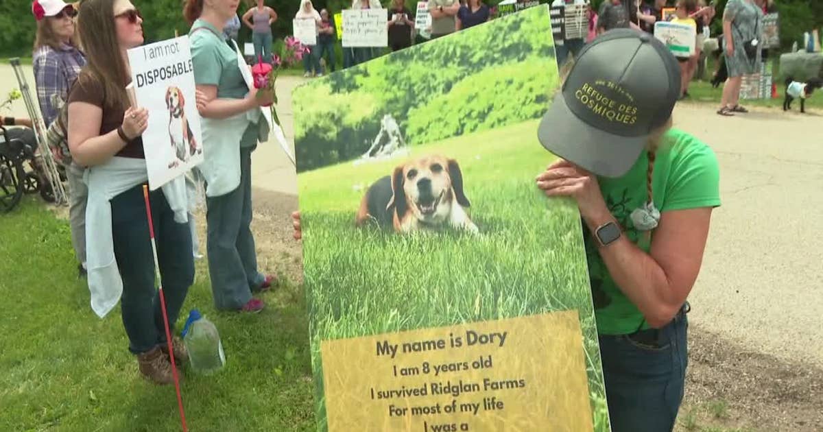 Ridglan Farms beagles: Protest calls for release of remaining dogs