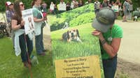 Ridglan Farms beagles: Protest calls for release of remaining dogs