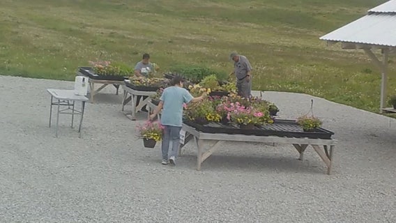 $310 worth of plants stolen from honor-system farm stand, suspects ID'd