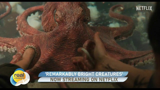 'Remarkably Bright Creatures'; Gino at the Movies