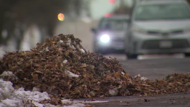 Milwaukee leaf collection policy; council seeks notice before DPW changes