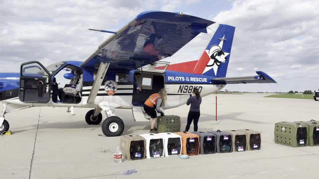 Ridglan Farms beagles: Dogs leave Wisconsin for New York, Virginia