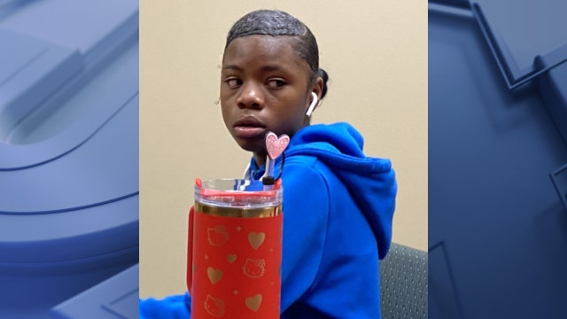 Missing Brown Deer teen; police seek public's help