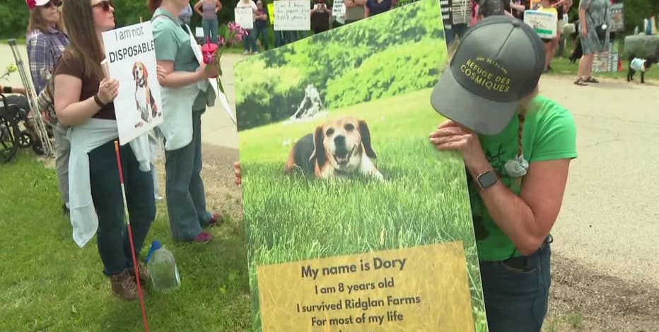 Ridglan Farms beagles: Protest calls for release of remaining dogs