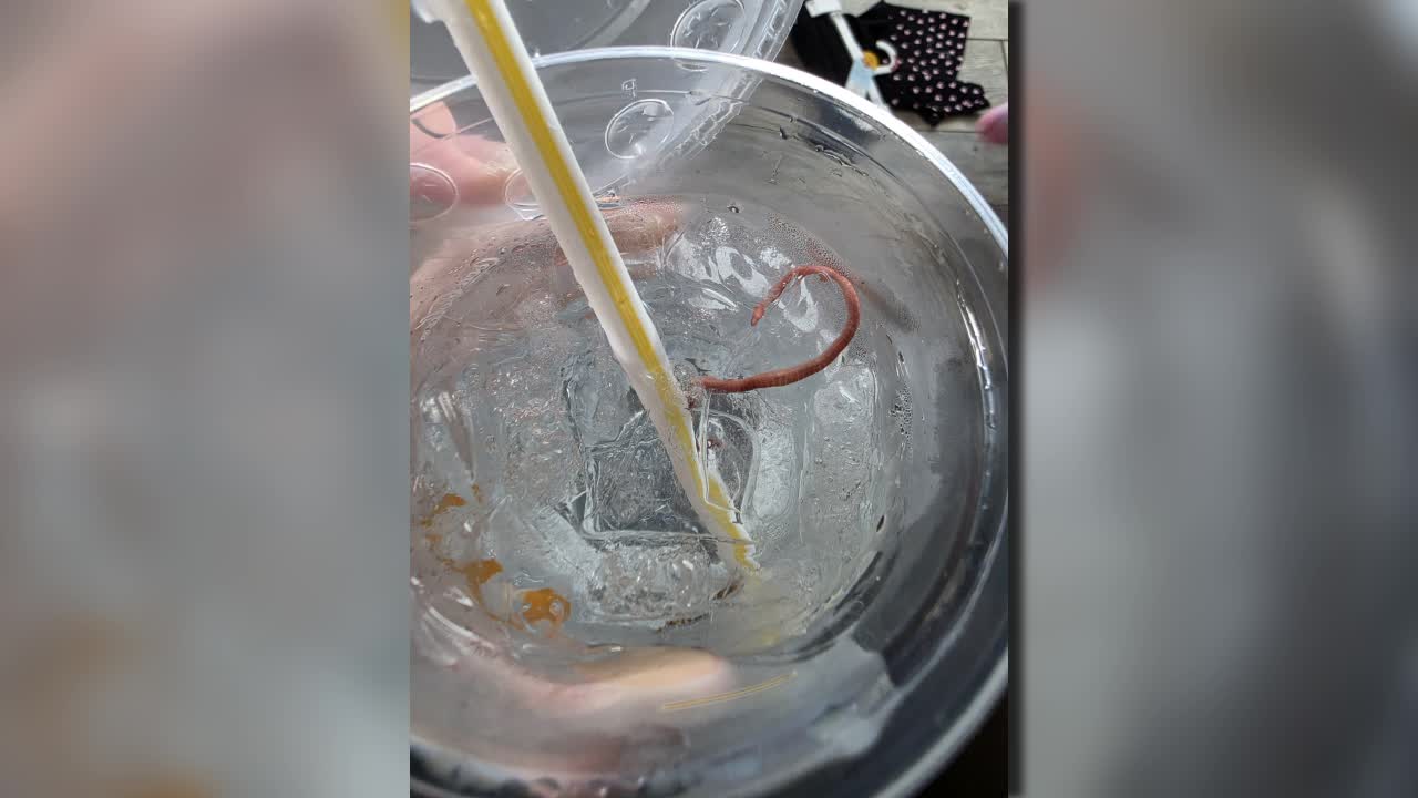 Worms found in Kenosha County McDonald’s drinks spark lawsuit
