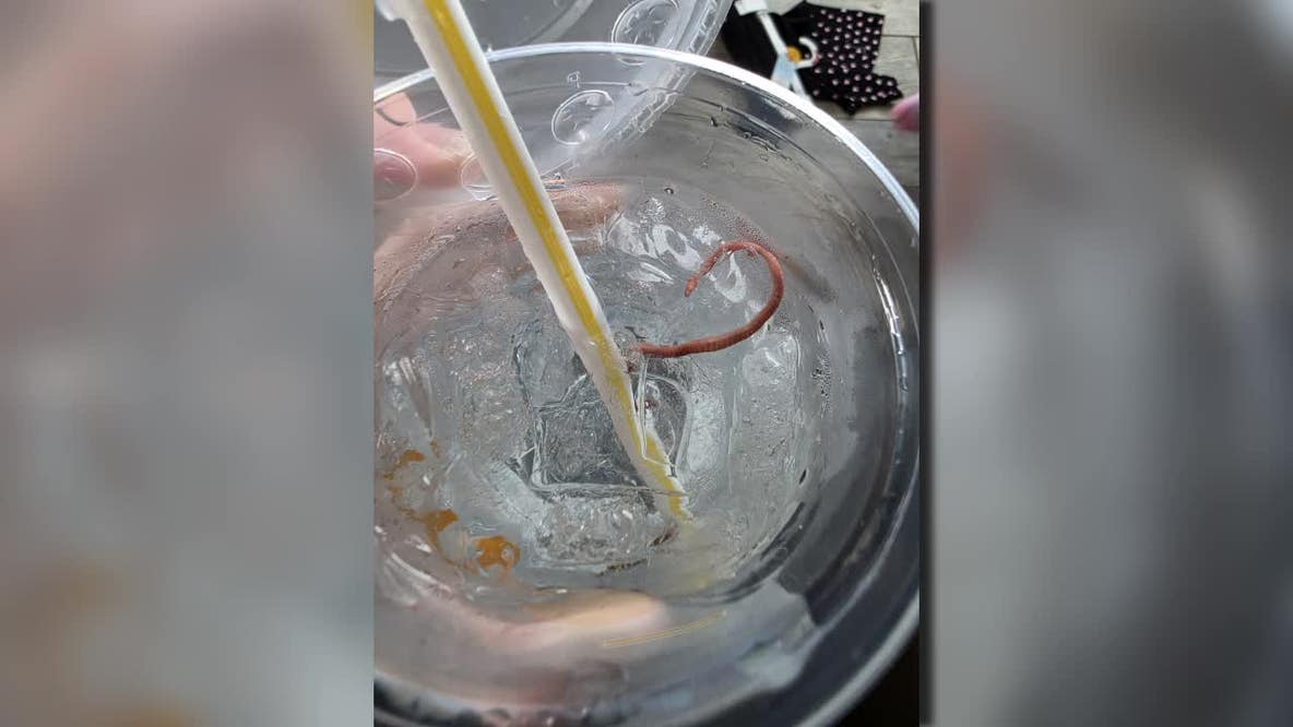 Worms found in Kenosha County McDonald’s drinks spark lawsuit