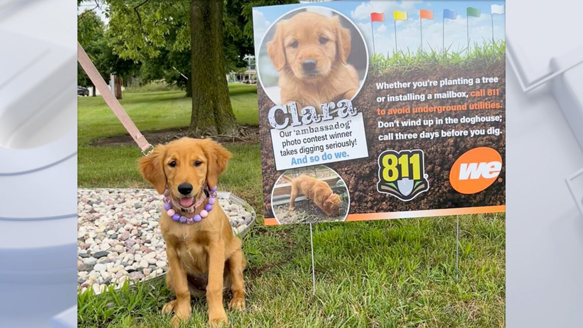 We Energies looking for next 'ambassadog,' accepting nominations