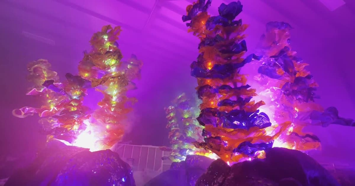 Summerfest, FuzzPop unveil immersive Radiant Echoes art installation