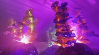 Summerfest, FuzzPop unveil immersive Radiant Echoes art installation