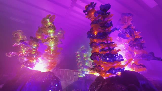 Summerfest, FuzzPop unveil immersive Radiant Echoes art installation