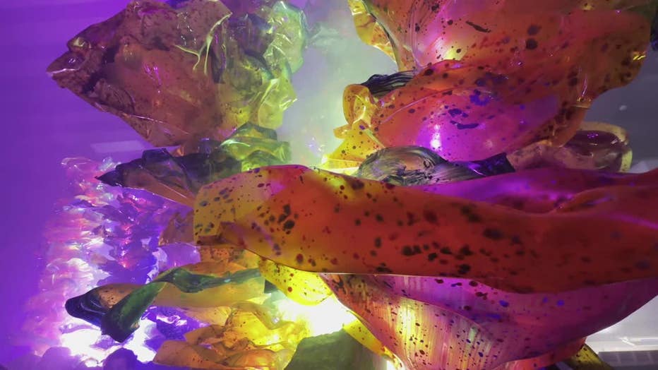 Summerfest, FuzzPop unveil immersive Radiant Echoes art