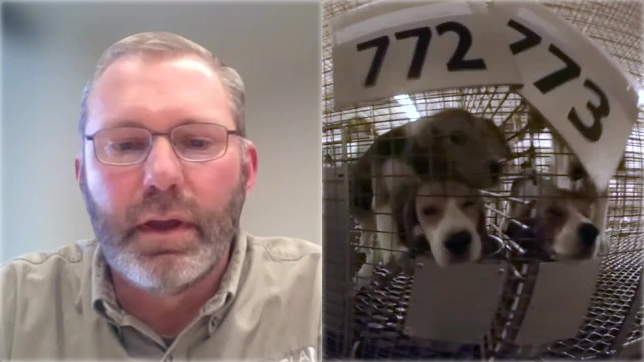 Ridglan Farms lead veterinarian 'permanently revoked'