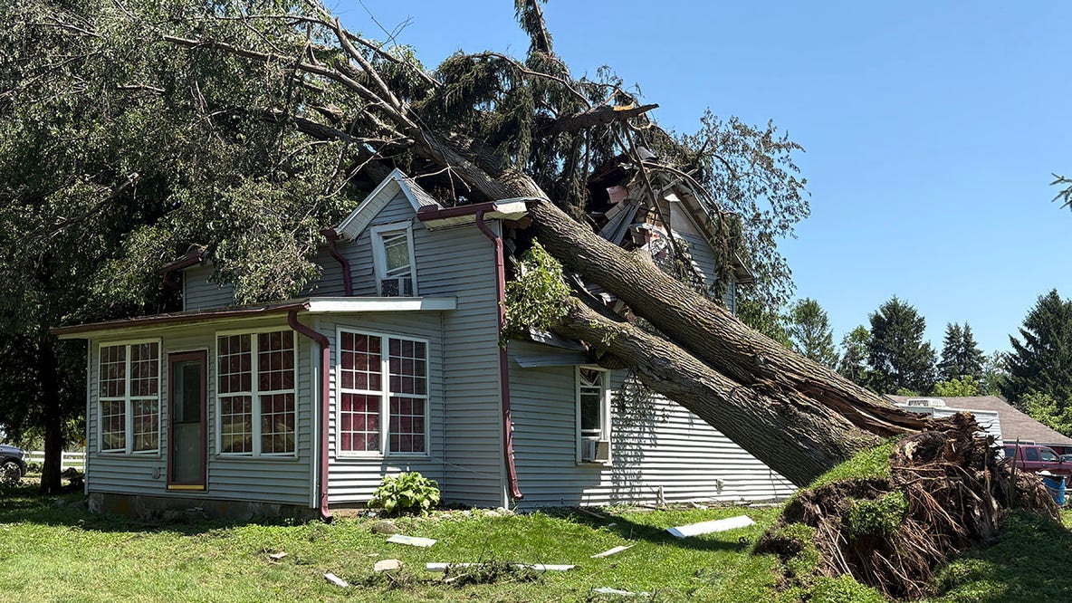 Walworth County storm damage, tree smashes Geneva Township home