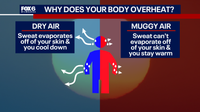 Southeast Wisconsin: Hot and humid forecast, why your body can overheat
