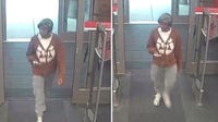Menomonee Falls Target theft; $2,399 worth of electronics stolen