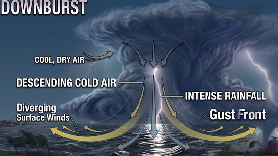 Southeast Wisconsin: Downburst not a tornado in Walworth County