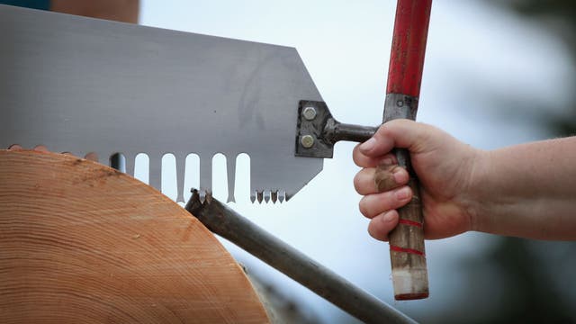 Lumberjack World Championships in Wisconsin; 3 women's world records set