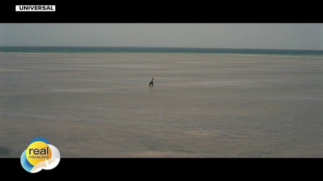 'The Odyssey'; Gino at the Movies
