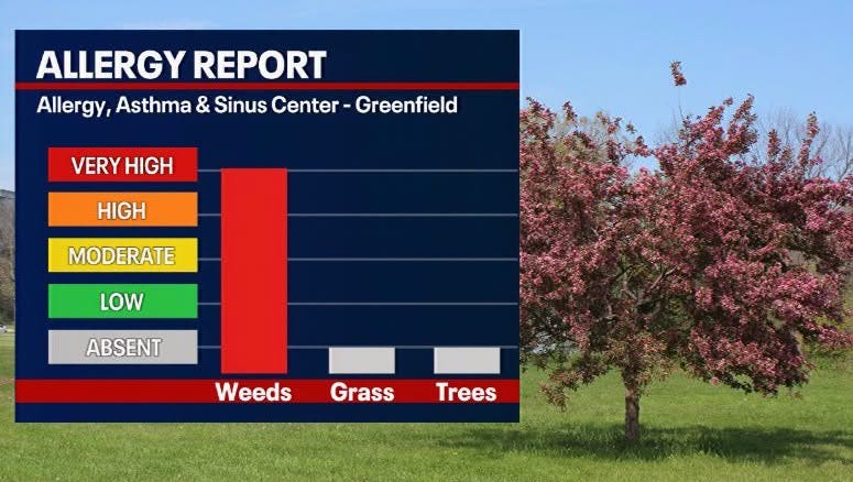 Ragweed counts high across Milwaukee, what you can do