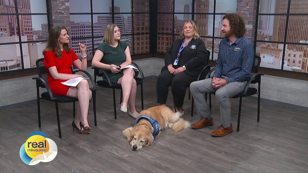 Paws & Payroll; Take Your Dog to Work Day