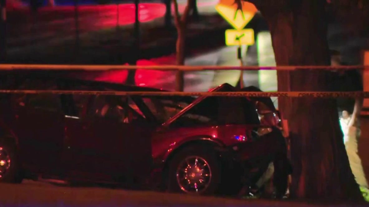 West Allis fatal crash; vehicle hit tree near McCarty Park, 1 dead