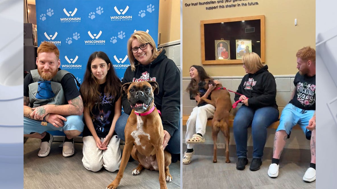 Missing Pennsylvania dog found in Wisconsin; reunited with owners
