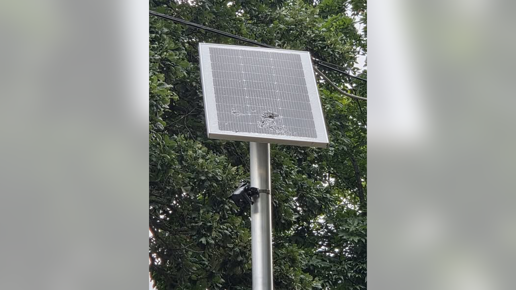 Mukwonago police seek suspect after street sensor shot