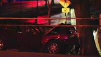 West Allis fatal crash; vehicle hit tree near McCarty Park, 1 dead