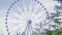 Wisconsin State Fair concludes 11-day run; fairgoers enjoy final day