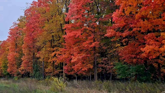 Southeast Wisconsin fall 2026: Meteorological start, peak colors