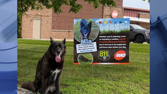 We Energies ‘ambassadog’ Mia; promoting safe digging practices