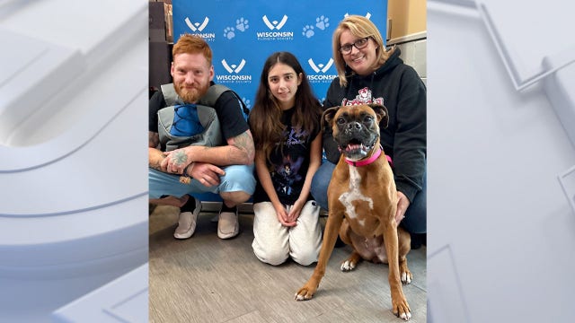 Missing Pennsylvania dog found in Wisconsin, reunited with owners
