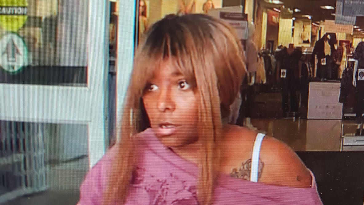 Brookfield Kohl's theft, police seek suspect