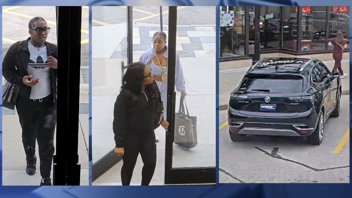 Brookfield Alo Yoga retail theft; police seek public's help