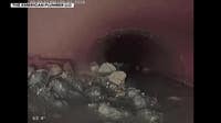 Greenfield woman has $20,000 repair bill after water main break