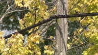 Caledonia neighbors frustrated by frequent power outages