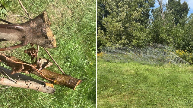 100 Menomonee River Parkway trees removed without authorization