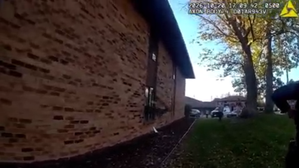 Watch: Deer seen crashing through apartment window in Wisconsin