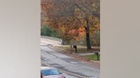 West Bend box truck crash; 1 dead, 1 injured