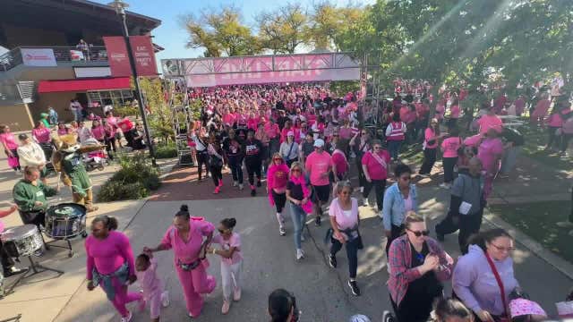 Making Strides Against Breast Cancer Walk draws thousands to Summerfest grounds
