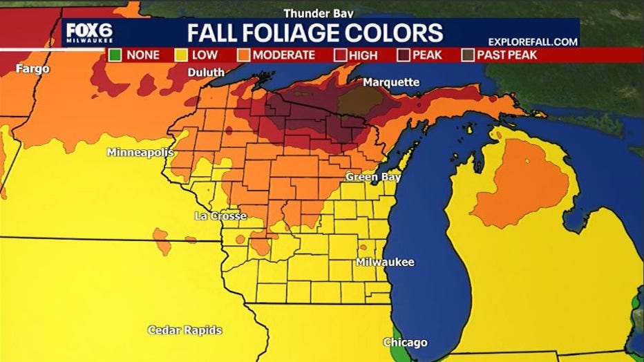 Fall Colors Foliage