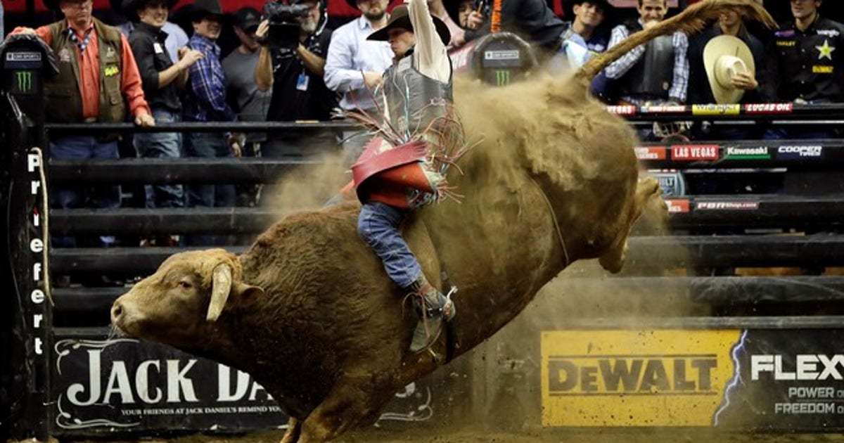 Professional bull rider, 25, dies after being injured at Colorado event ...